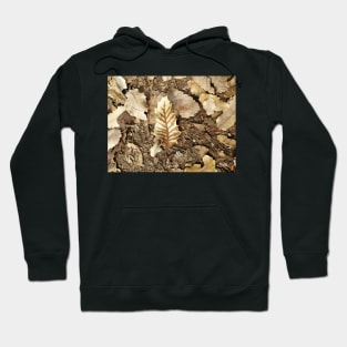 Brown Autumn Fall Leaves Background Hoodie